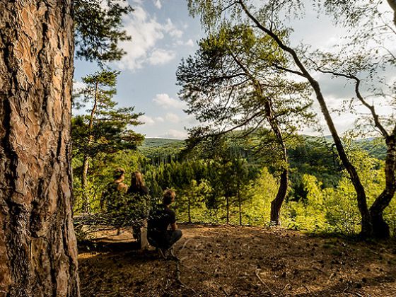 Tolle Aussicht: Vom Christianseck aus eröffnet sich ein weiter Blick über das Reich der urigen Buchen und die Kuppen des Nationalparks (Foto: Thorben Mehrhoff)