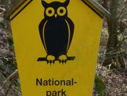 Besuchern begegnen an der Nationalparkgrenze einem Schild mit der sog. Naturschutzeule. Diese wird heutzutage als Kennzeichnung deutscher Nationalparks verwendet, so auch im Nationalpark Kellerwald-Edersee (Foto: Nationalpark Kellerwald-Edersee)