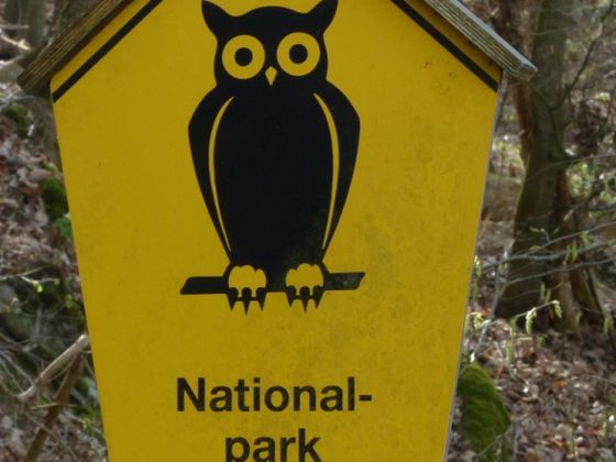 Besuchern begegnen an der Nationalparkgrenze einem Schild mit der sog. Naturschutzeule. Diese wird heutzutage als Kennzeichnung deutscher Nationalparks verwendet, so auch im Nationalpark Kellerwald-Edersee (Foto: Nationalpark Kellerwald-Edersee)