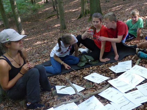 Archivfoto: An den Ferienforschertagen wird genau hingesehen, was es zu entdecken gibt im Nationalpark (Foto: Nationalpark Kellerwald-Edersee)