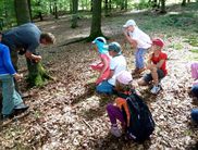 Während des Ferien-Forschertags entdecken die Kinder die Tier- und Pflanzenwelt im Nationalpark und erfahren, wie diese erforscht wird. (Foto: Nationalpark Kellerwald-Edersee)