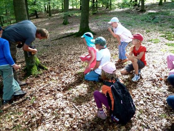 Während des Ferien-Forschertags entdecken die Kinder die Tier- und Pflanzenwelt im Nationalpark und erfahren, wie diese erforscht wird. (Foto: Nationalpark Kellerwald-Edersee)