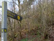 Auf dem Goldgräberpfädchen gelangen die Wanderer zum Rabenstein. Gemeinsam mit Nationalpark-Führerin Iris Dorn-Fehr begeben sie sich auf eine spannende Schatz- und Spurensuche (Foto: Nationalpark Kellerwald-Edersee)