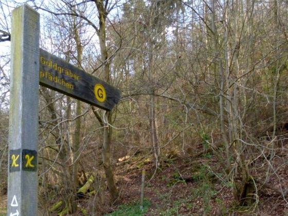 Auf dem Goldgräberpfädchen gelangen die Wanderer zum Rabenstein. Gemeinsam mit Nationalpark-Führerin Iris Dorn-Fehr begeben sie sich auf eine spannende Schatz- und Spurensuche (Foto: Nationalpark Kellerwald-Edersee)