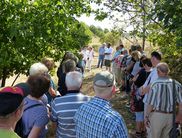 Das Heideblütenfest zu Ehren der schönen Heidelandschaft beginnt um 10:00 mit dem Wandergottesdienst (Archivfoto: Nationalpark Kellerwald-Edersee)