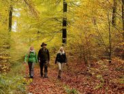 Nationalpark im Indiansummer lässt sich am 29. Oktober entdecken (Foto: Nationalpark Kellerwald-Edersee)