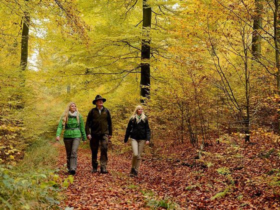 Nationalpark im Indiansummer lässt sich am 29. Oktober entdecken (Foto: Nationalpark Kellerwald-Edersee)