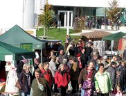 Am Sonntag, 7. Oktober 2018, bieten Kunsthandwerker und Direktvermarkter aus der Region auf dem Herbstmarkt am NationalparkZentrum schöne Dinge und leckere Kostbarkeiten an (Foto: Nationalpark Kellerwald-Edersee)