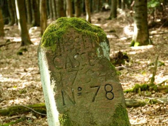Die Teilnehmer wandeln während der Tour auf den historischen Grenzen von Großherzogtum Hessen, Kurfürstentum Hessen und Fürstentum Waldeck (Foto: Nationalparkamt Kellerwald-Edersee)