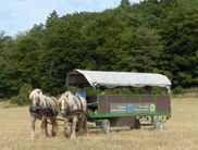 Planwagen-Shuttle vom Nationalpark-Partner Ralf Finke (Archivfoto: Nationalpark-Kellerwald-Edersee).