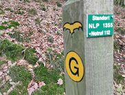 Pfosten mit Wandermarkierung am Rabenstein (Foto: Nationalpark Kellerwald-Edersee)