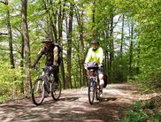 Ranger Alexander Backhaus führt die Radtour durch den sommerlichen Nationalpark (Foto: Nationalpark Kellerwald-Edersee)