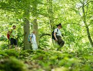 Rangerwanderungen im Nationalpark sind im Moment nur mit Voranmeldung und Abstand möglich (Foto: Nationalpark Kellerwald-Edersee)