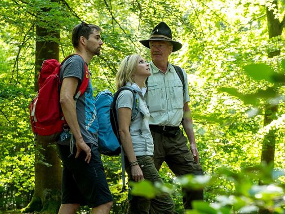Wanderung mit Ranger Herman Bieber durch die werdende Wildnis (Foto: Nationalpark Kellerwald-Edersee)