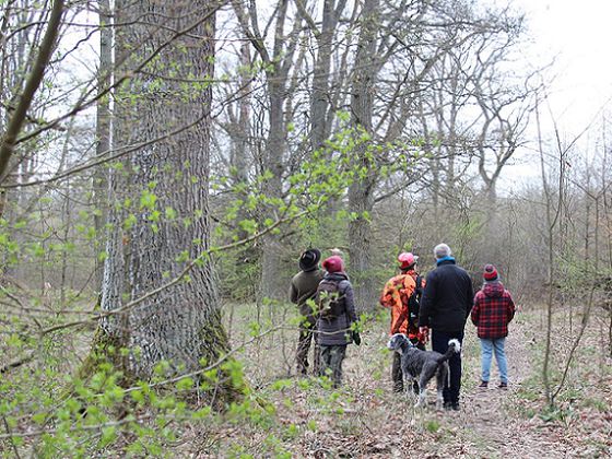 Geführte Wandergruppe im Frühjahr (Foto: Nationalpark Kellerwald-Edersee)