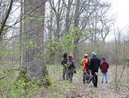 Geführte Wandergruppe im Frühjahr (Foto: Nationalpark Kellerwald-Edersee)