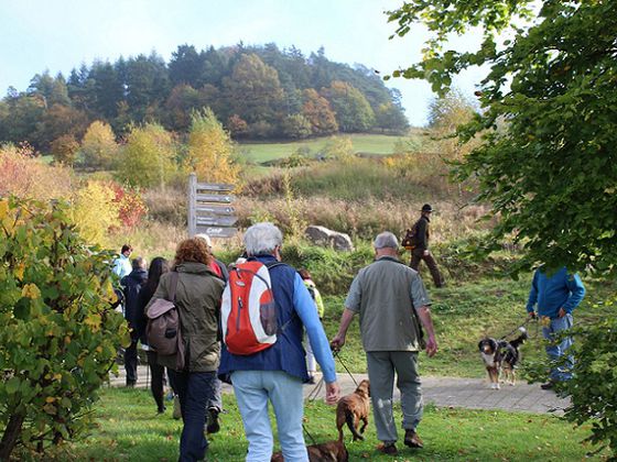 Mit dem Ranger in den Nationalpark: Während des Herbstmarktes startet jeweils um 10:00 Uhr und um 13:00 eine vierstündige, kostenfreie Rangerwanderung in das Reich der urigen Buchen.  (Foto: Nationalpark Kellerwald-Edersee)