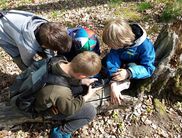 Die Einrichtungen des Nationalparks Kellerwald-Edersee bieten in den Herbstferien drei spannende Veranstaltungen für Kinder an. Junge Naturliebhaberinnen und –liebhaber erfahren dabei allerlei Interessantes (Foto: Nationalpark Kellerwald-Edersee)