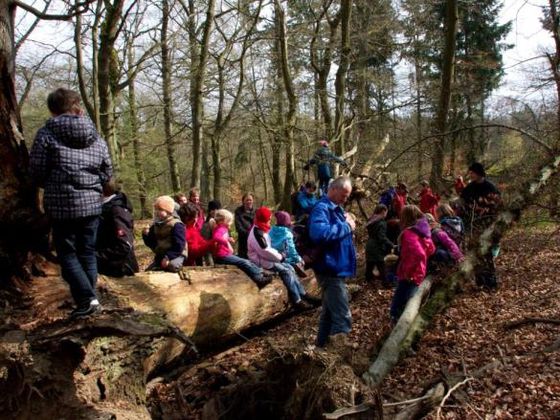 Den Nationalpark Kellerwald-Edersee spielend erforschen, Naturerleben für Kinder und Junggebliebene (Foto: Iris Dorn-Fehr)