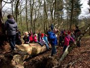 Den Nationalpark Kellerwald-Edersee spielend erforschen, Naturerleben für Kinder und Junggebliebene (Foto: Iris Dorn-Fehr)