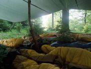 Übernachten auf einer Biwak-Stelle (Foto: Projekt Waldscout)