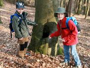 Auch im Winterwald gibt es Spannendes zu entdecken und zu erleben, beispielsweise am 13. Februar mit Ranger Sven Polchow (Foto: Nationalpark Kellerwald-Edersee)