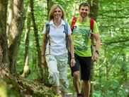 Bei der Singlewanderung lernt man die Schönheiten des Nationalparks kennen (Foto: Nationalpark Kellerwald-Edersee)