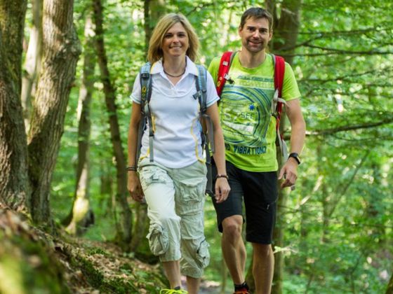 Bei der Singlewanderung lernt man die Schönheiten des Nationalparks kennen (Foto: Nationalpark Kellerwald-Edersee)