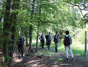 Geführte Wanderungen im Naturpark und Nationalpark sind im Moment nur mit Voranmeldung und Abstand möglich (Foto: Nationalpark Kellerwald-Edersee)