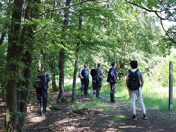 Geführte Wanderungen im Naturpark und Nationalpark sind im Moment nur mit Voranmeldung und Abstand möglich (Foto: Nationalpark Kellerwald-Edersee)