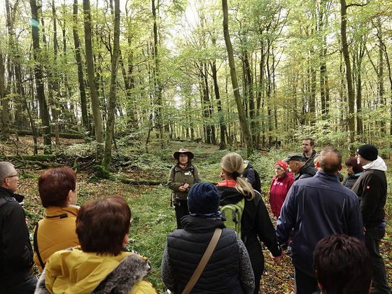 Wandern verbindet: Während des Inklusiven Wandertages kommen Menschen mit und ohne Handicap zusammen und entdecken die Arche-Region Kellerwald, den Naturpark und die werdende Wildnis des Nationalparks auf sechs verschiedenen geführten Wandertouren (Foto: 