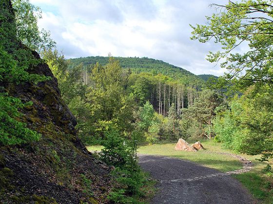 Kunst im Nationalpark: Der Warzenbeißer Kunstweg vereint zehn Landart-Objekte verschiedener Künstler – darunter auch die abgebildeten Wandersteine (Foto: Nationalpark Kellerwald-Edersee)
