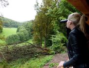 Die Plätze auf der Wildbeobachtungskanzel sind begrenzt (Foto: Nationalpark Kellerwald-Edersee).