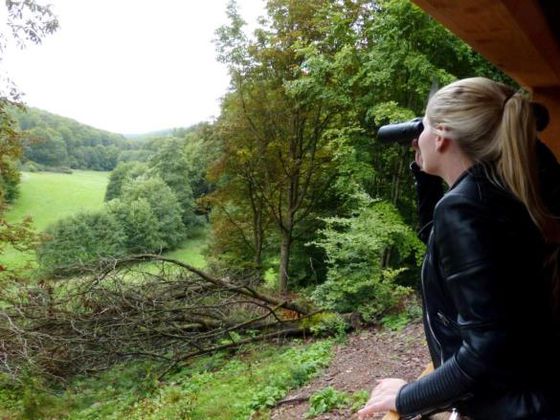 Die Plätze auf der Wildbeobachtungskanzel sind begrenzt (Foto: Nationalpark Kellerwald-Edersee).