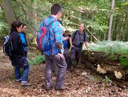Über Stock und Stein: Achim Frede vom Nationalparkamt lädt am Sonntag, 31.10., zu einer Wildnisexkursion mit dem Waldökologen in das Herz der Nationalpark-Ruhezone ein – ein besonderes und seltenes Naturerlebnis abseits der Wege, was nur unter fachlicher 