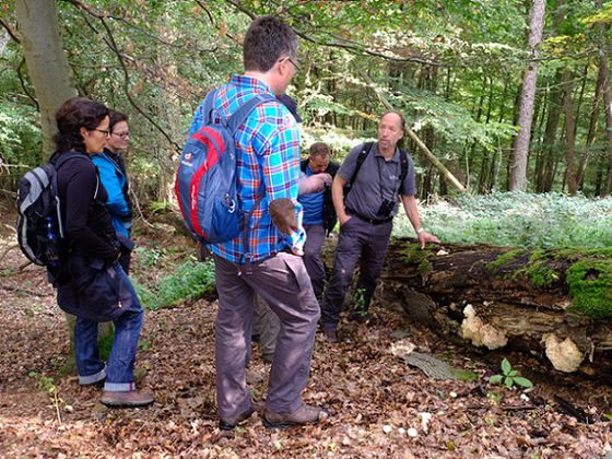 Über Stock und Stein: Achim Frede vom Nationalparkamt lädt am Sonntag, 31.10., zu einer Wildnisexkursion mit dem Waldökologen in das Herz der Nationalpark-Ruhezone ein – ein besonderes und seltenes Naturerlebnis abseits der Wege, was nur unter fachlicher 