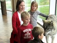 Die WildWesen im NationalparkZentrum Kellerwald
