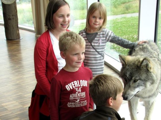 Die WildWesen im NationalparkZentrum Kellerwald