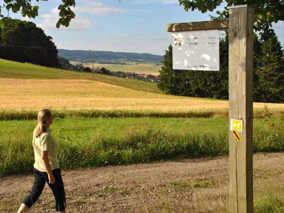 Wandern auf dem Sauerland-Höhenflug
