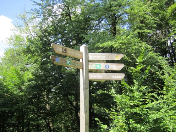 Beschilderung im Nationalpark an der Hagensteinroute