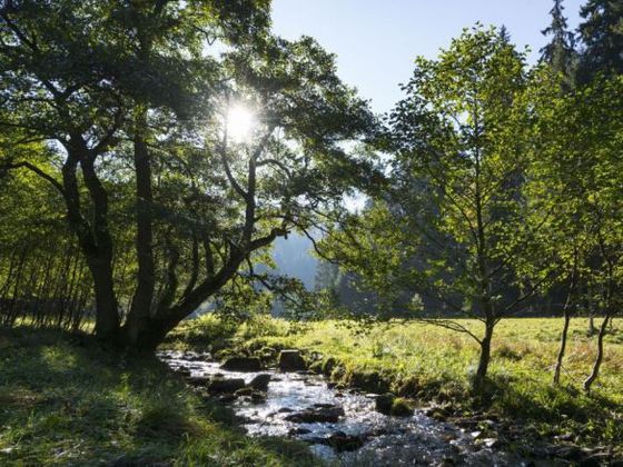 Für Naturliebhaber ist Willingen auch im Frühling ein lohnenswertes Ziel.